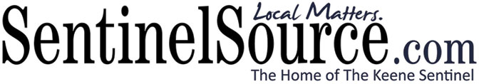 Sentinel Source Logo 2